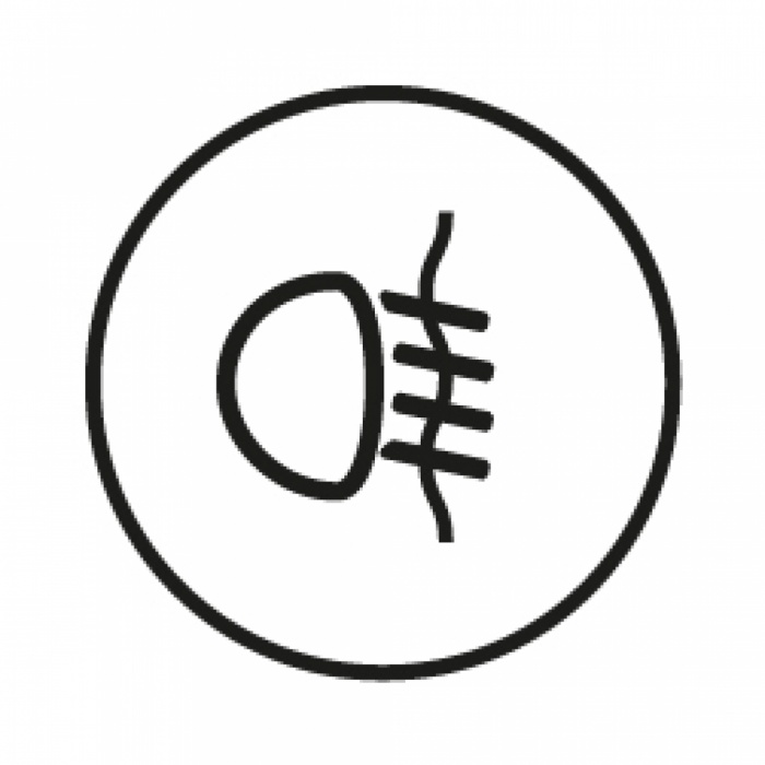 <p data-avantage="titre">Fog lights with cornering function</p>